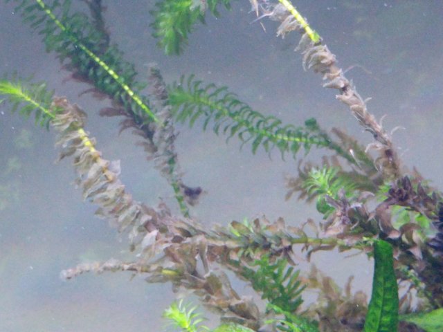 IMG_20170118_202217.jpg