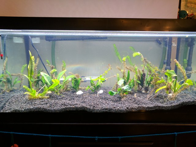 whole_tank.jpg
