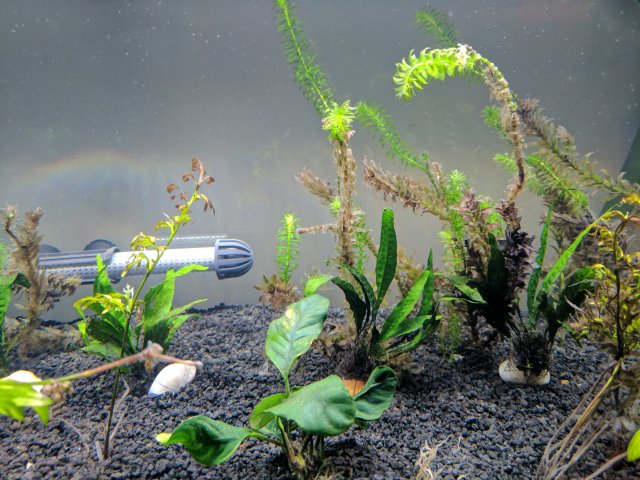whole_tank2.jpg