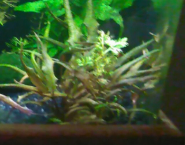 IMG_20170126_151059.jpg IMG_20170126_151059.jpg