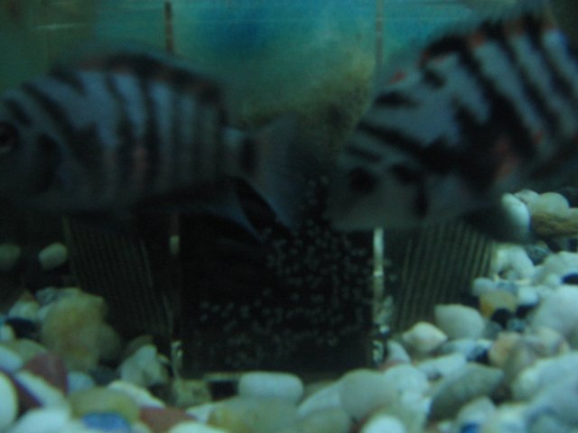 STH_2314.JPG