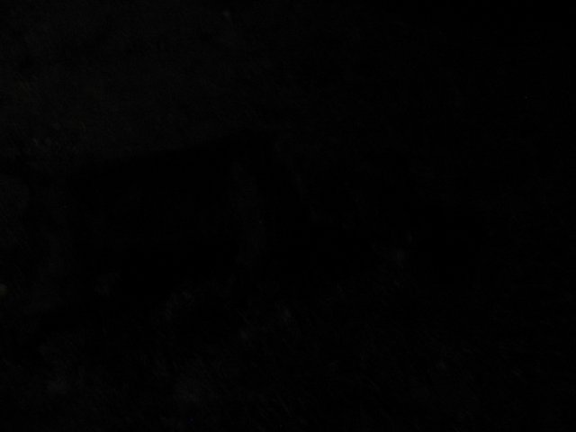 STG_1634.JPG