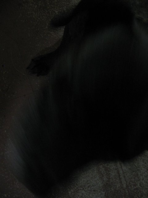 STG_1644.JPG