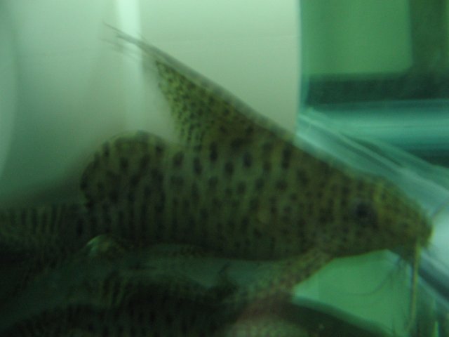 STO_2589.JPG