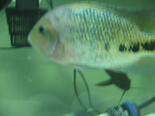 STQ_2591.JPG