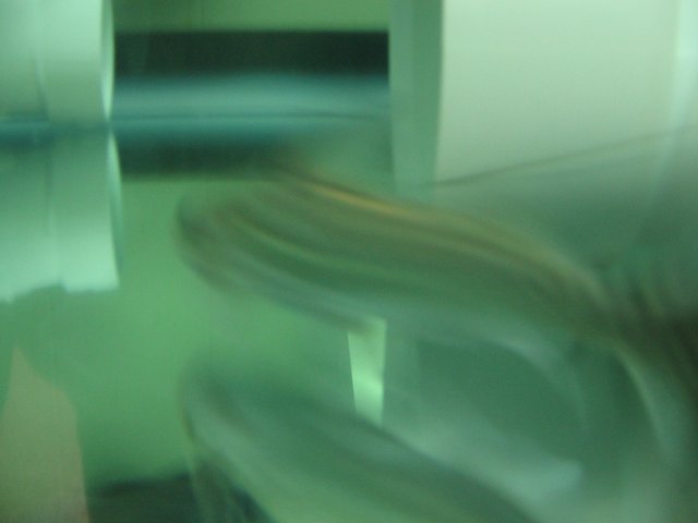STX_2598.JPG