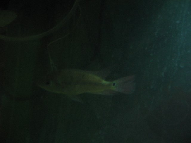 STH_2534.JPG
