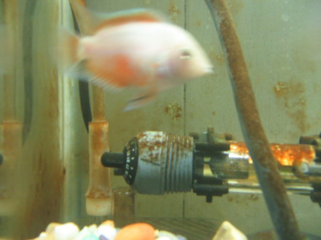 STF_2422.JPG