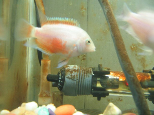 STH_2424.JPG