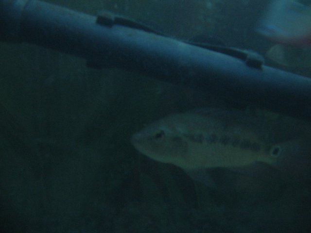 STP_2432.JPG