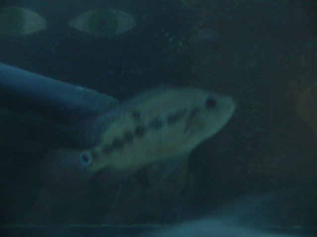 STR_2434.JPG