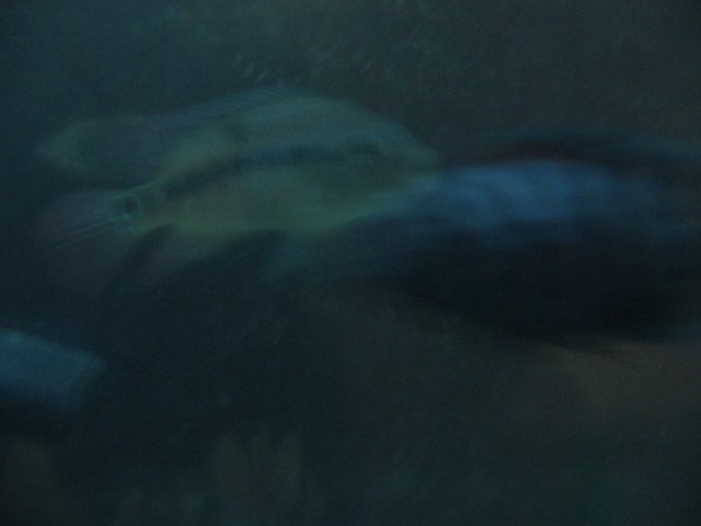STS_2435.JPG
