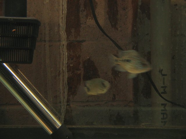 STX_2440.JPG