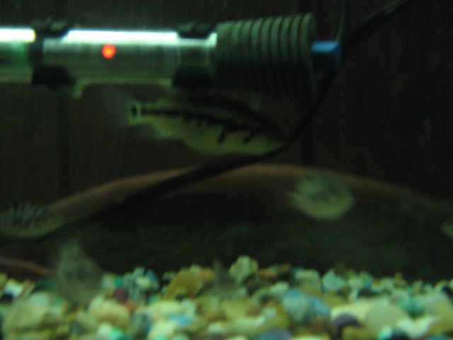 STA_2394.JPG