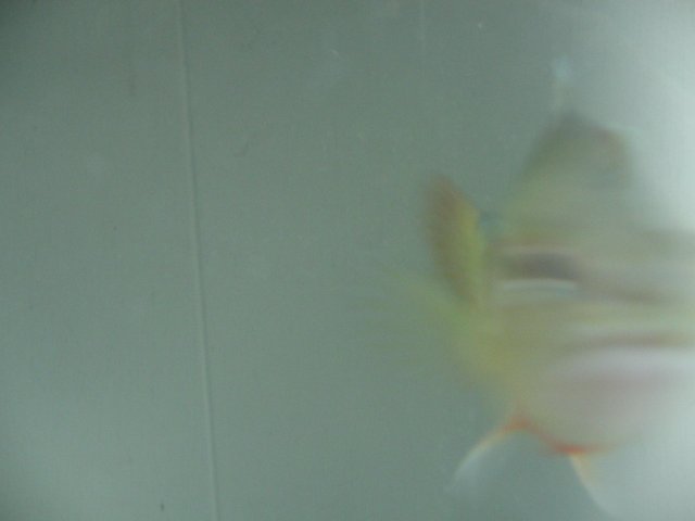STU_2414.JPG