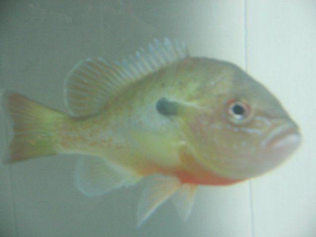 STY_2418.JPG