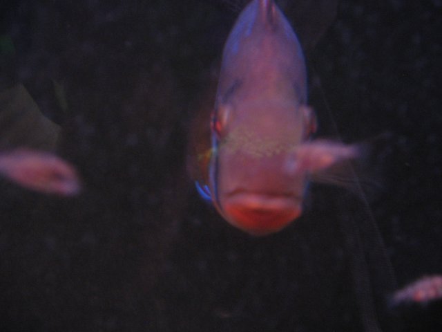 STA_2342.JPG
