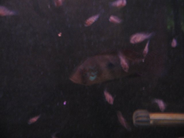 STF_2347.JPG