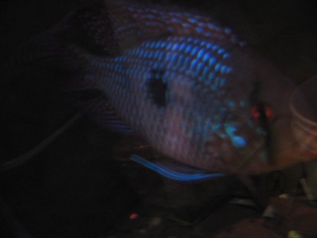 STH_2349.JPG