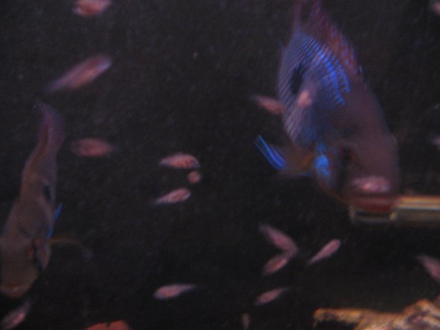 STJ_2351.JPG