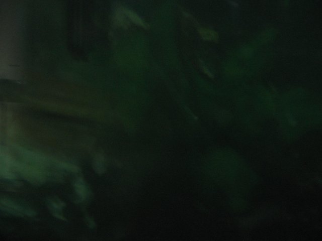 STA_2306.JPG