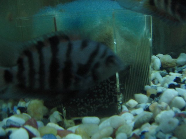 STA_2307.JPG