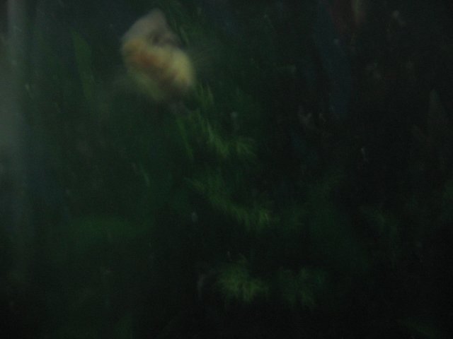 STB_2302.JPG