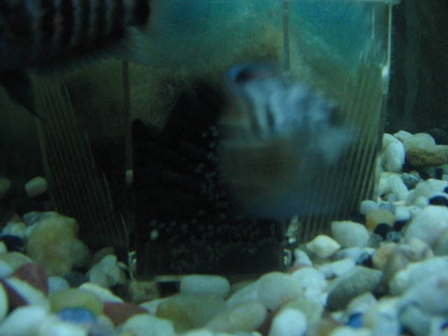 STD_2310.JPG