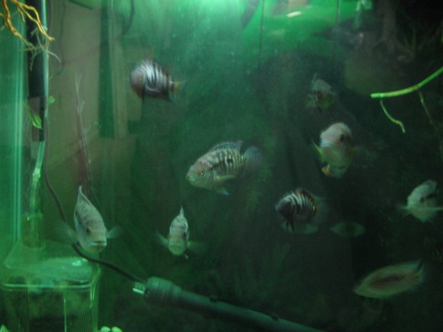 STB_2054.JPG