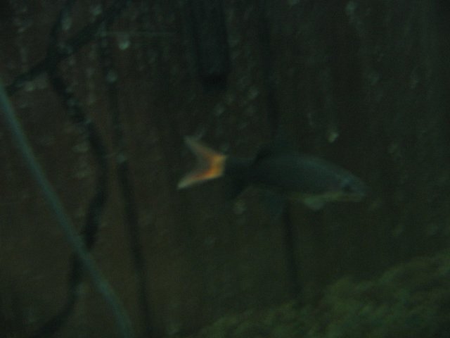 STF_2301.JPG