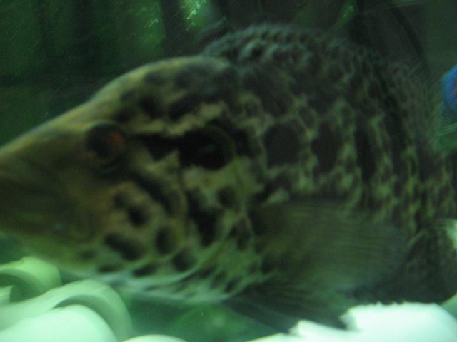 STW_2333.JPG
