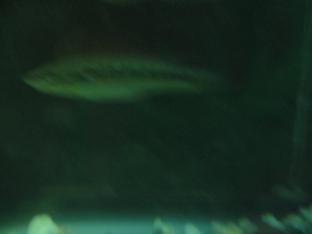 STA_2287.JPG