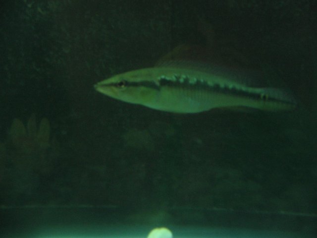 STB_2288.JPG