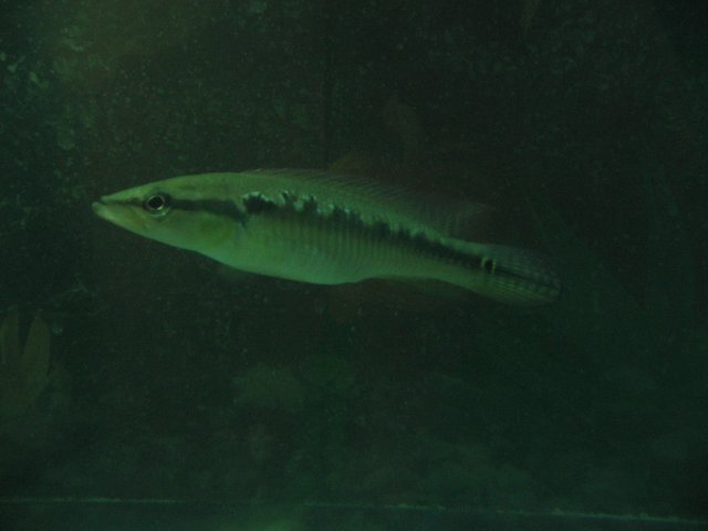 STC_2289.JPG