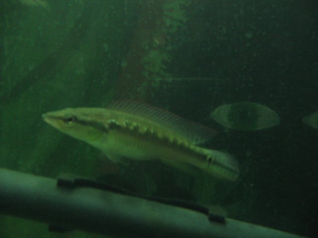 STE_2291.JPG