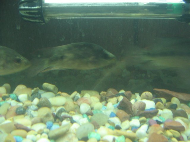 STJ_2270.JPG