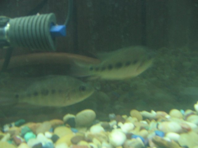 STQ_2277.JPG