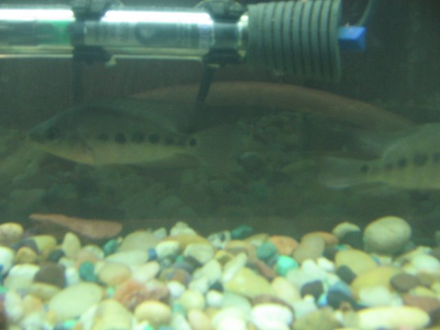STS_2279.JPG