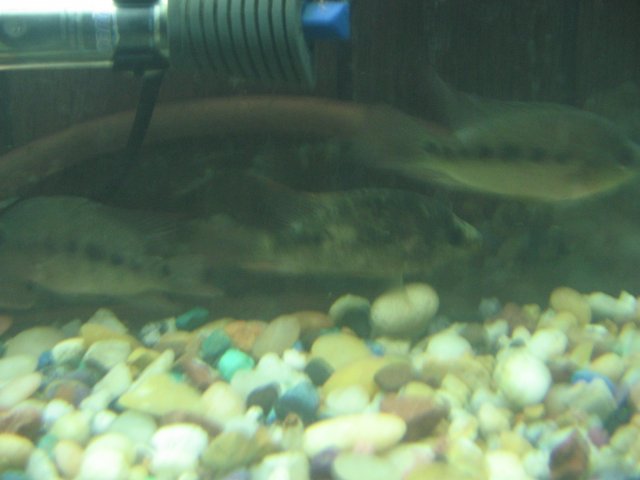 STX_2284.JPG
