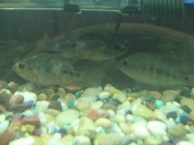 STW_2283.JPG