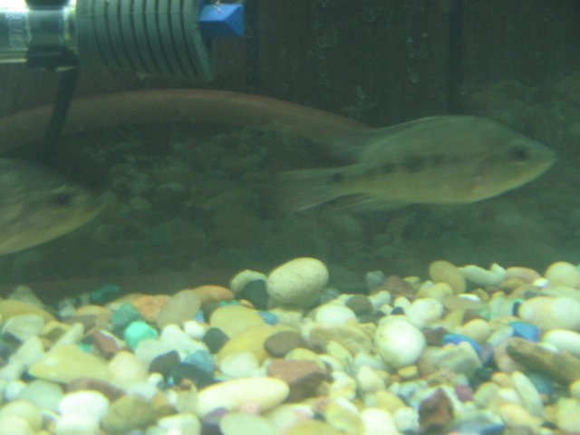 STY_2285.JPG