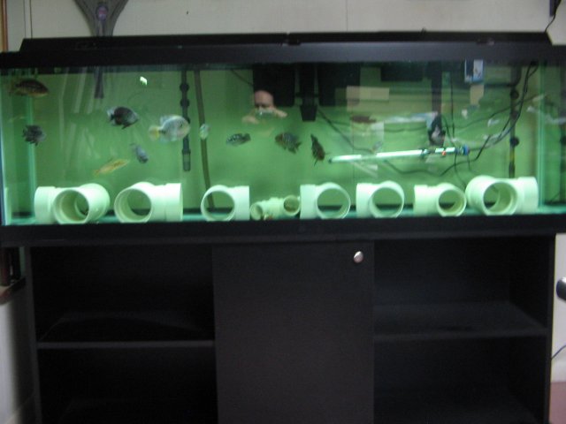 STA_2235.JPG