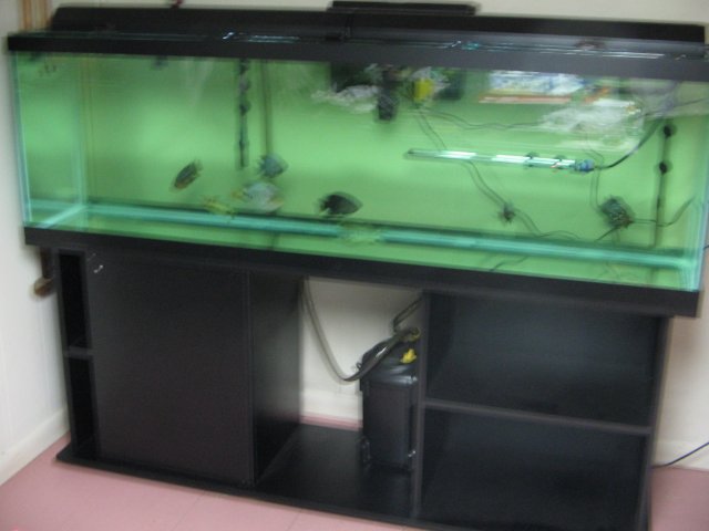 STA_2201.JPG
