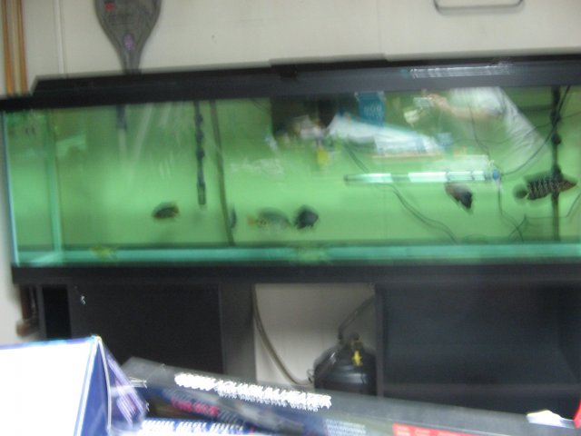 STC_2203.JPG