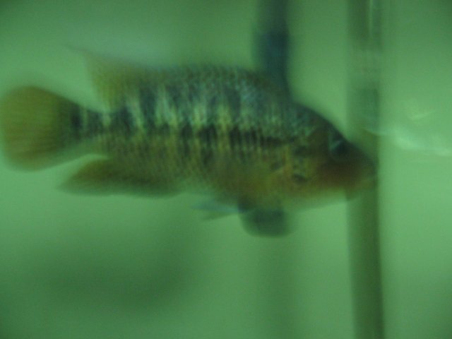 STN_2214.JPG