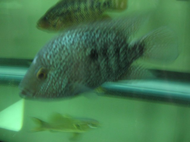 STU_2221.JPG