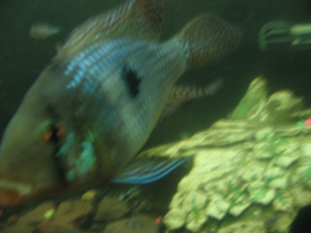 STB_2141.JPG