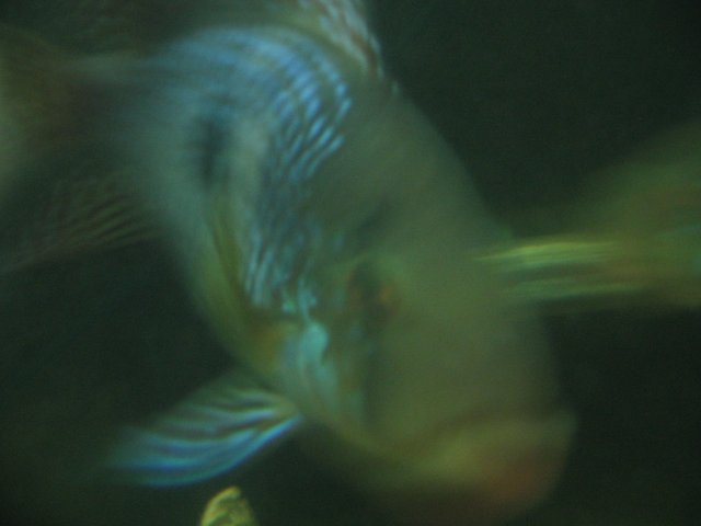 STK_2150.JPG