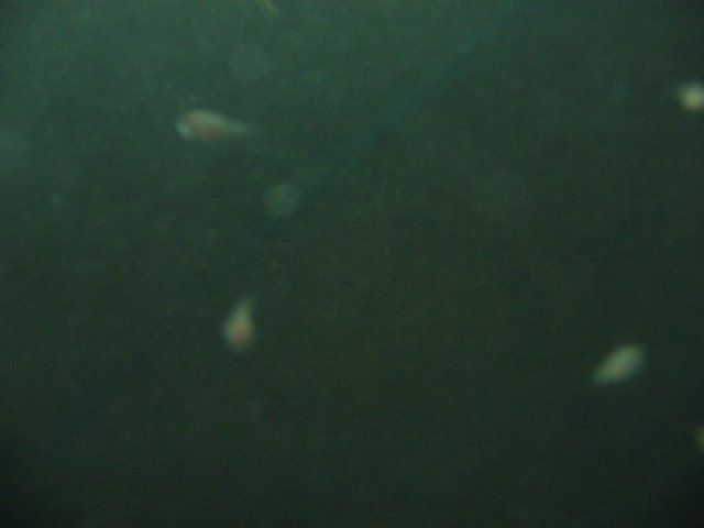 STN_2153.JPG