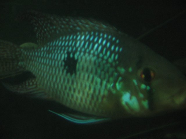 STO_2154.JPG